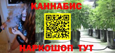 эйфоретик Краснодар