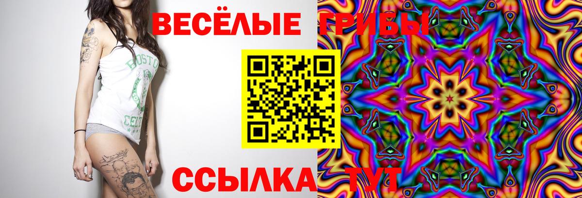Псилоцибиновые грибы Cubensis  Псилоцибиновые грибы мицелий  Вход с VPN  Коломна 